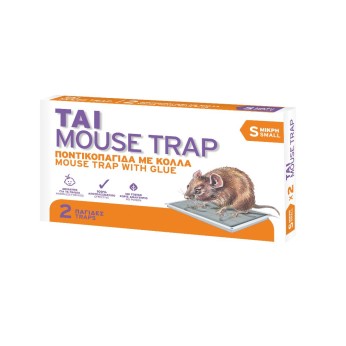 ΤΑΙ ΠΟΝΤΙΚΟΠΑΓΙΔΑ ΜΙΚΡΗ