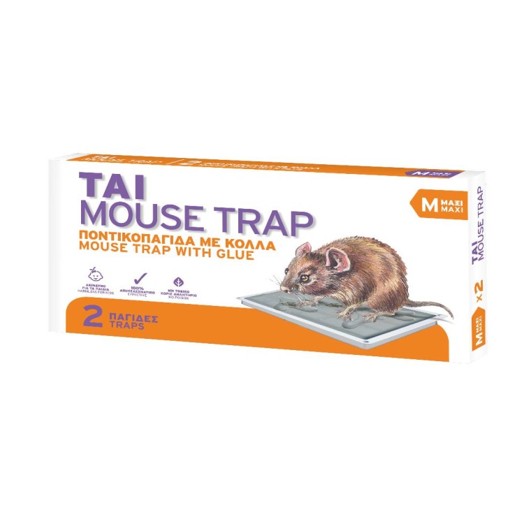 ΤΑΙ ΠΟΝΤΙΚΟΠΑΓΙΔΑ MAXI