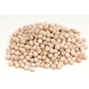 ΣΤΡΑΓΑΛΙΑ ΧΥΜΑ ΤΟΥΡΚΙΑΣ