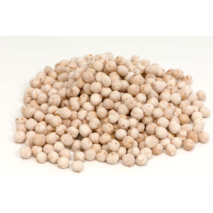 ΣΤΡΑΓΑΛΙΑ ΧΥΜΑ ΤΟΥΡΚΙΑΣ