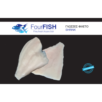 F.F ΓΛΩΣΣA ΦΙΛΕΤΟ ΣΥΡΡΙΚΝΩΣΗ