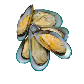 F.F ΜΥΔΙΑ HALF SHELL 10Χ1KG ΜΠΩΛ