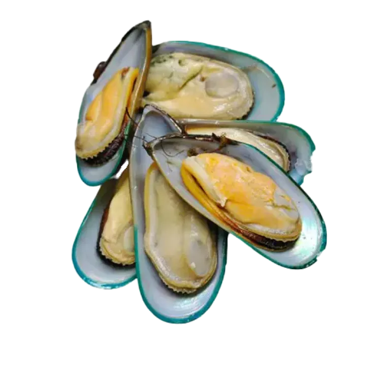 F.F ΜΥΔΙΑ HALF SHELL 10Χ1KG ΜΠΩΛ