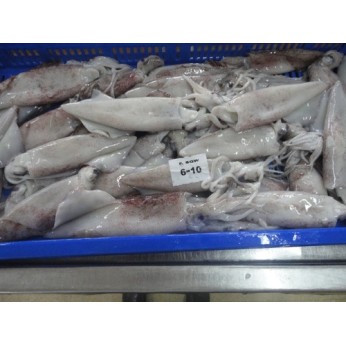 F.F ΚΑΛΑΜΑΡΙ 6/10 (ΝΑΙΚ) ΙΝΔΙΑΣ BLOCK 2KG