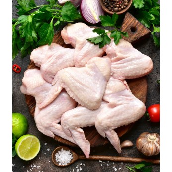 ΦΛΩΡΙΔΗΣ ΚΟΤΟΠΟΥΛΟ ΦΤΕΡΟΥΓΕΣ ΚΤΨ ΕΛΛ. VACUUM