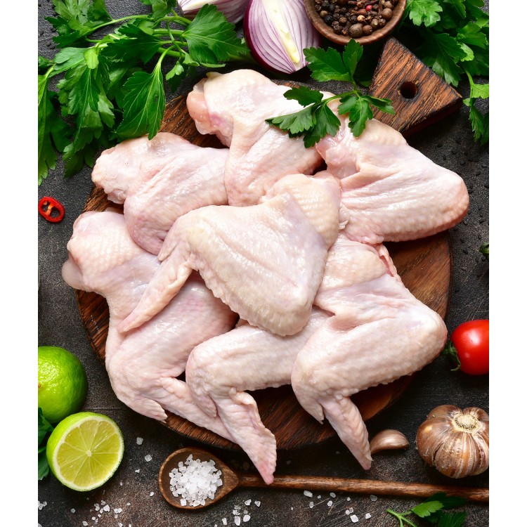 ΦΛΩΡΙΔΗΣ ΚΟΤΟΠΟΥΛΟ ΦΤΕΡΟΥΓΕΣ ΚΤΨ ΕΛΛ. VACUUM