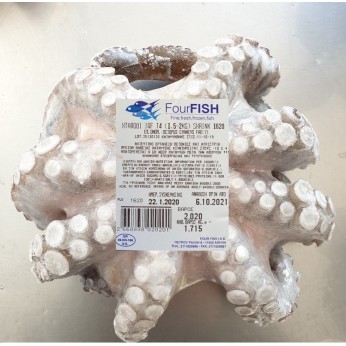 F.F ΧΤΑΠΟΔΙ Τ5 (1,2-1,5KG) ΣΥΡΡΙΚΝΩΣΗ ΙΝΔΟΝΗΣΙΑΣ