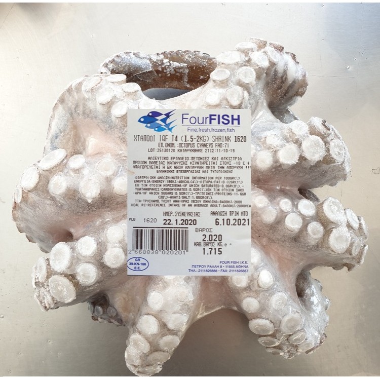 F.F ΧΤΑΠΟΔΙ Τ5 (1,2-1,5KG) ΣΥΡΡΙΚΝΩΣΗ ΙΝΔΟΝΗΣΙΑΣ