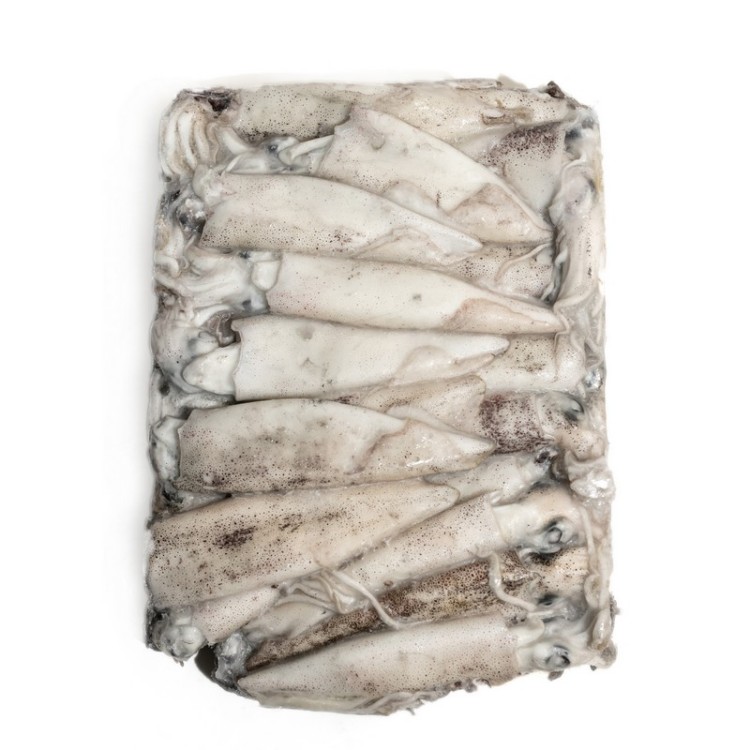 F.F ΚΑΛΑΜΑΡΙ ΠΑΤΑΓΟΝΙΑΣ IQF ΧΥΜΑ C-4 (10/13)10ΚΙΛ