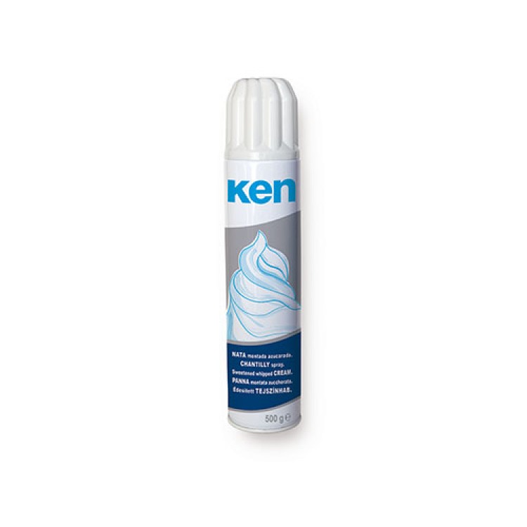 KEN PROFESS ΚΡΕΜΑ ΣΑΝΤΙΓΥ 12Χ500ML