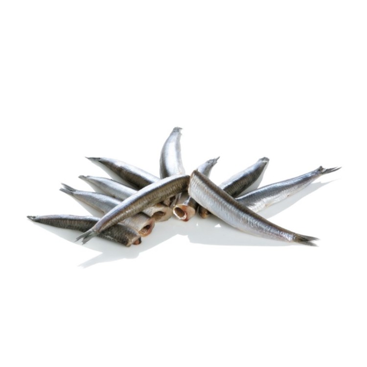 F.F ΓΑΥΡΟΣ Α/Κ IQF ΕΓΧΩΡΙΟΣ 5ΚΙΛ. ΧΥΜΑ