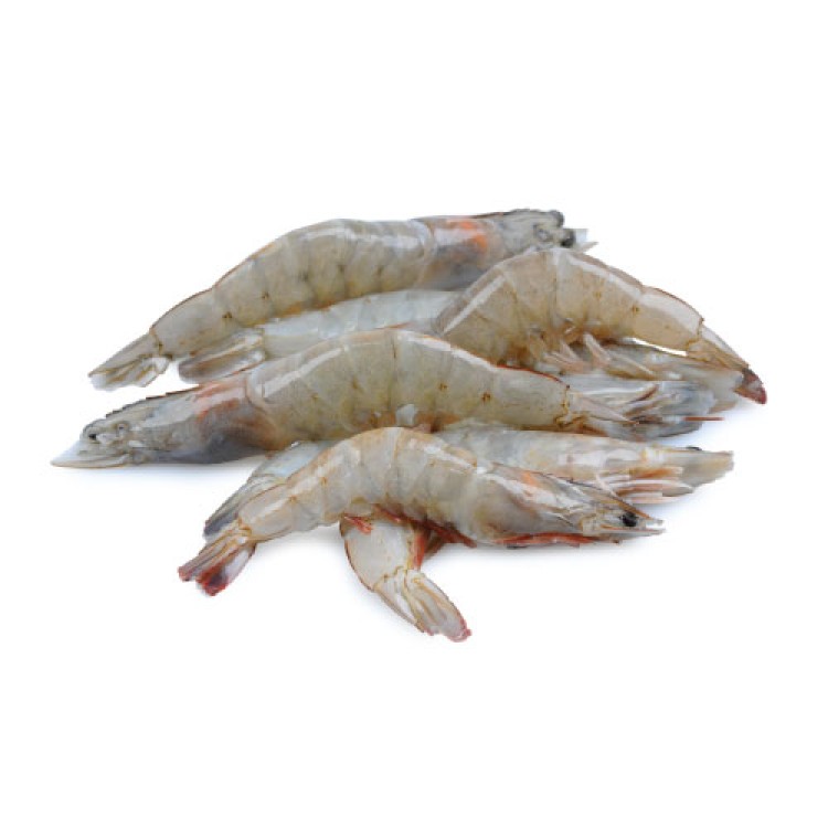 ΓΑΡΙΔΕΣ VANNAMEI 20/30 2 ΚΙΛΩΝ 0% Λ.ΑΜΕΡΙΚΗΣ