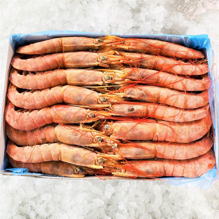 ΓΑΡΙΔΕΣ ΓΑΜΠΑΡΕΣ Νο1 ΑΡΓΕΝΤΙΝΗΣ SEA FROZEN 2KG