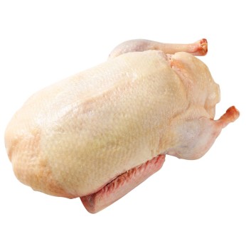 VESTA ΠΑΠΙΑ ΟΛΟΚΛΗΡΗ ΚΤΨ 2,4KG