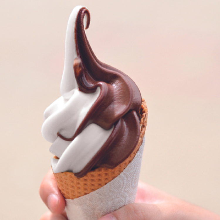 SEFCO SOFT CONE CHOCOLATE 10X1KG SEFCO SOFT CONE CHOCOLATE 10X1KG
