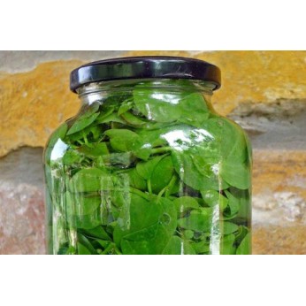 ΜΕΣΣΗΝΙΑΚΗ ΠΑΡΑΔΟΣΗ ΦΥΛΛΑ ΚΑΠΑΡΗΣ 1,5ΚΙΛ